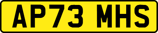 AP73MHS