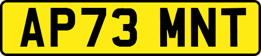 AP73MNT
