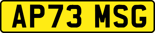AP73MSG