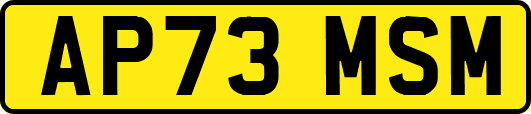 AP73MSM