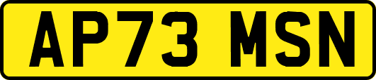 AP73MSN