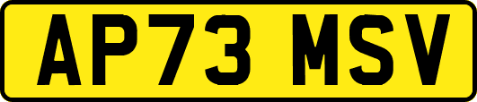 AP73MSV