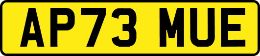 AP73MUE