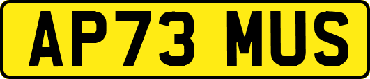 AP73MUS