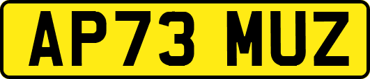 AP73MUZ