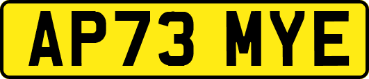 AP73MYE