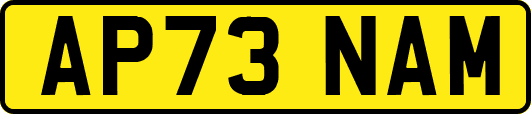AP73NAM