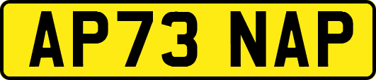 AP73NAP