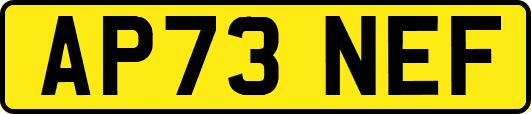 AP73NEF