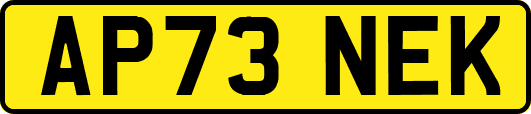 AP73NEK