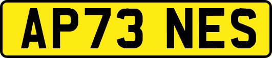 AP73NES