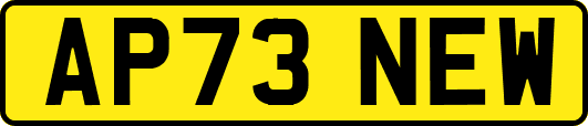 AP73NEW