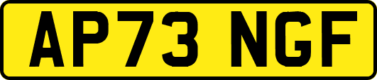 AP73NGF