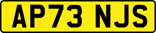 AP73NJS