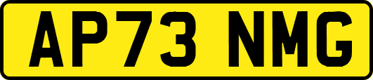 AP73NMG
