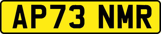 AP73NMR
