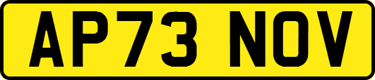 AP73NOV