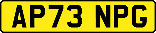 AP73NPG