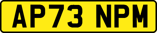 AP73NPM