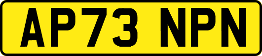 AP73NPN