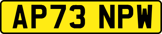 AP73NPW