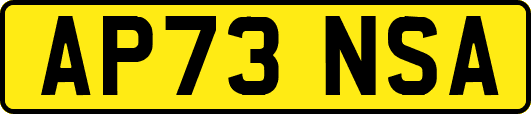 AP73NSA