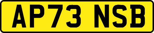 AP73NSB
