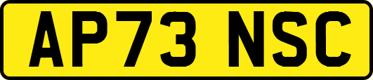 AP73NSC