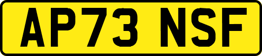 AP73NSF