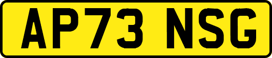 AP73NSG