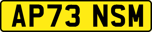 AP73NSM