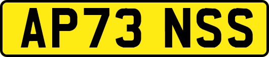 AP73NSS