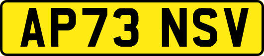 AP73NSV