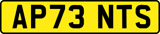 AP73NTS