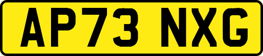 AP73NXG