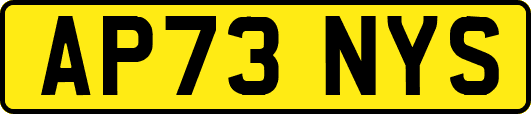 AP73NYS