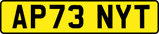 AP73NYT