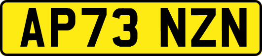 AP73NZN