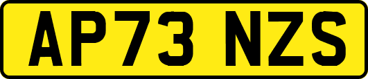 AP73NZS