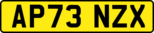 AP73NZX