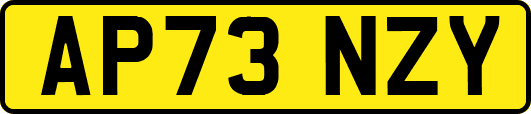 AP73NZY