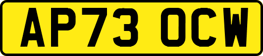 AP73OCW