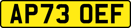AP73OEF