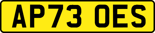 AP73OES