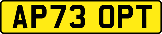 AP73OPT