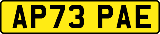 AP73PAE