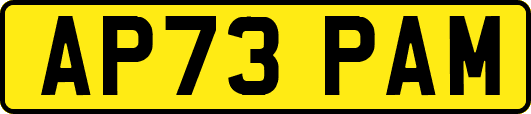 AP73PAM