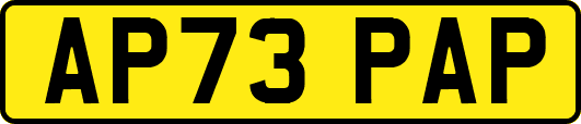 AP73PAP