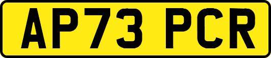 AP73PCR