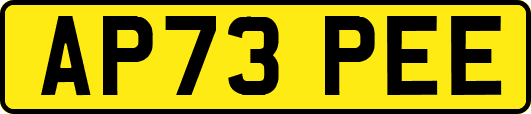 AP73PEE